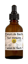 À quoi sert la fleur de Bach