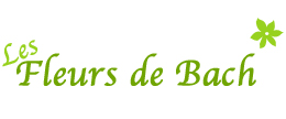 formation fleurs de Bach