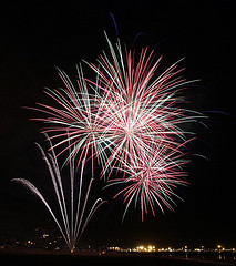 fleurs de Bach pour un chien qui a peur du feu d’artifice