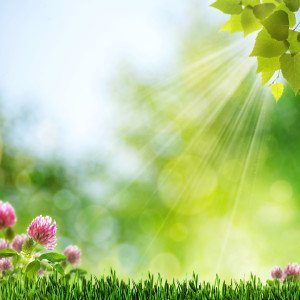 comment soigner la dépression naturellement